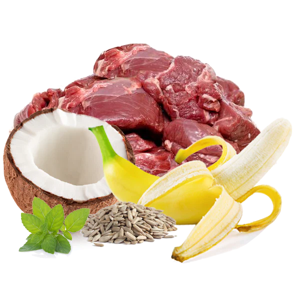 Menú Ambrosía de Ciervo Monoproteico