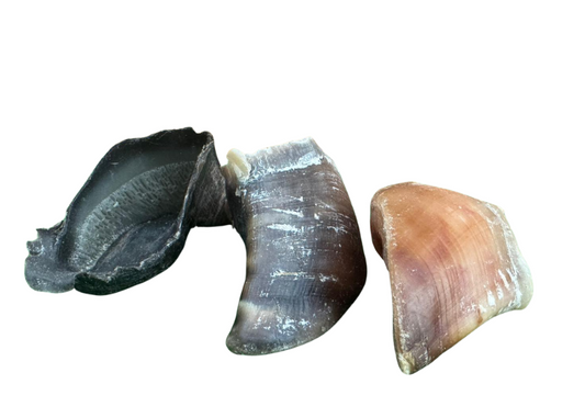 Pezuña de vaca
