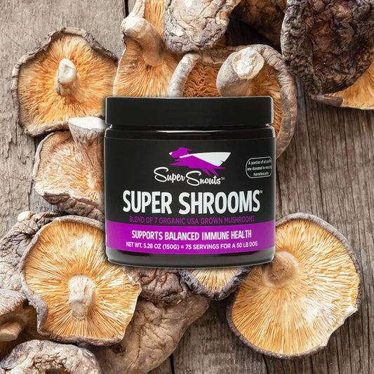 Super Snouts Super Shrooms. Regula y Refuerza el Sistema Inmune. Ayuda con alergias.