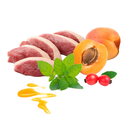 Menú navideño perros - GUAU que fiesta