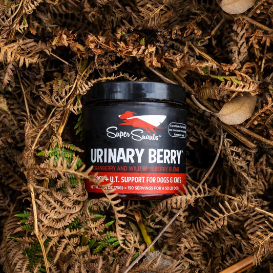 Super Snouts Urinary Berry 75 gr. Ayuda al Tracto Urinario. Antioxidante Natural.