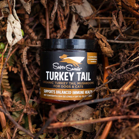 Super Snouts Turkey Tail. Regula y Refuerza el Sistema Inmune.