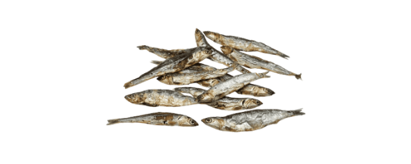 Pescado - colágeno - queso de yak