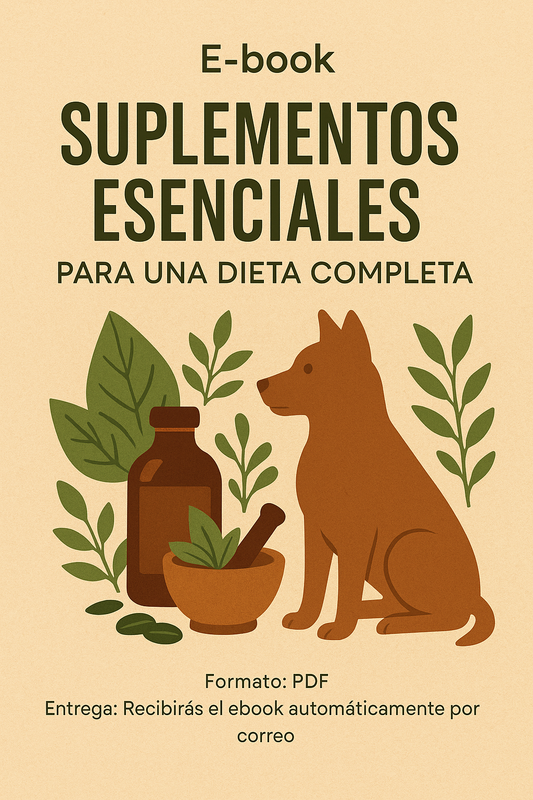 E-book Suplementos Esenciales para una Dieta Completa