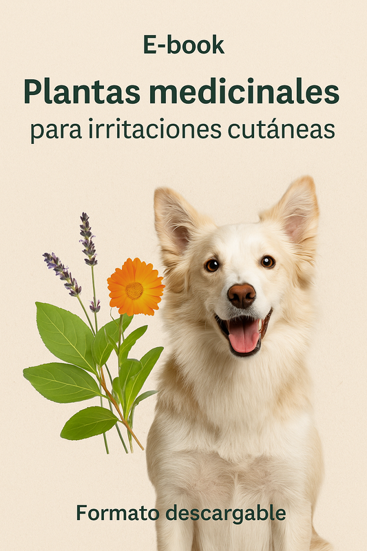 E-book Plantas medicinales para irritaciones cutáneas