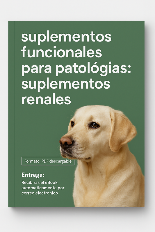 E-book Suplementos Funcionales para Patologías: Suplementos Renales