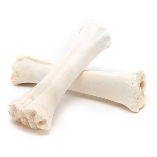 Hueso de calcio