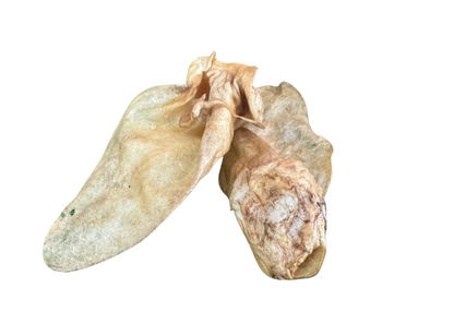 Oreja de vaca