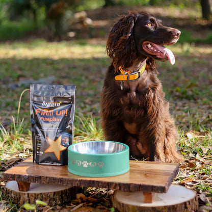 Firm Up! Pumpkin. Regulador Gastrointestinal 100% Natural. Prebiótico digestivo.