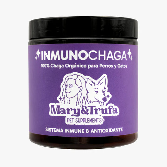 Inmunochaga hongo medicinal chaga Mary&Trufa 75g