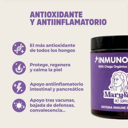 Inmunochaga hongo medicinal chaga Mary&Trufa 75g
