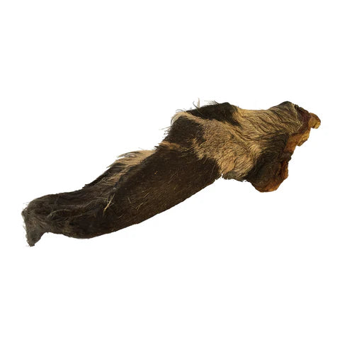 Oreja de vacuno con pelo