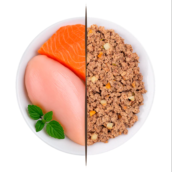 Menú cocinado Pollo y Salmón Delicat gatos