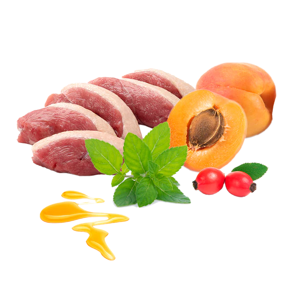 Menú navideño perros - GUAU que fiesta