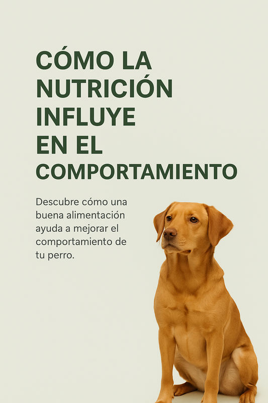 E-book Cómo la nutrición influye en el comportamiento