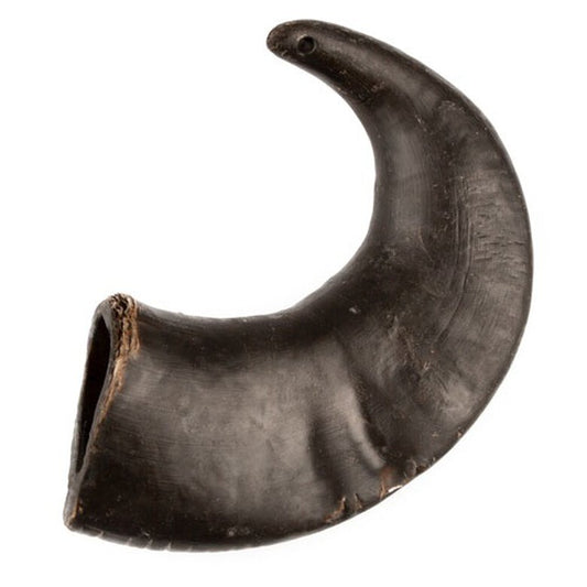 Cuerno de búfalo
